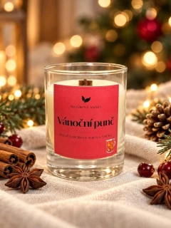 Sójová svíčka - Vánoční punč